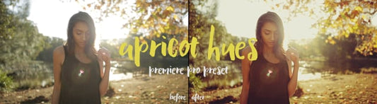 Cinematic LUTs Collection