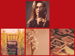 Cinematic LUTs Collection